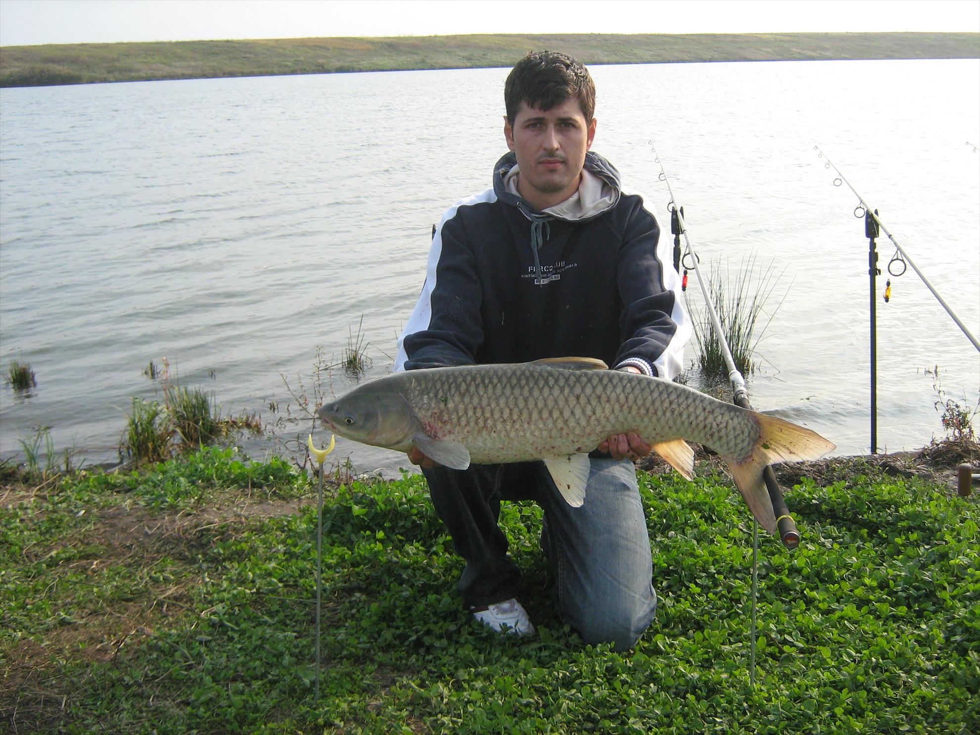 Hobaia - img0425.JPG